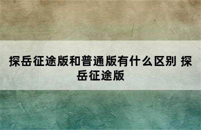 探岳征途版和普通版有什么区别 探岳征途版